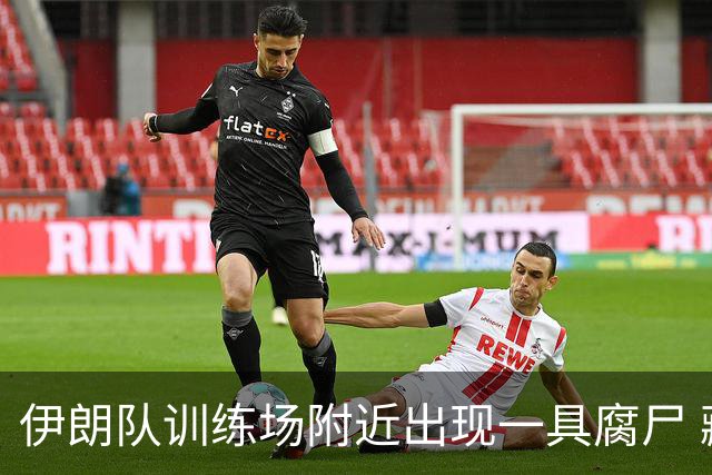 伊朗队训练场附近出现一具腐尸 藏在车辆后备箱+黑袋包裹