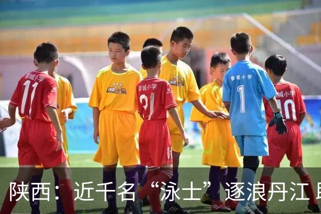 陕西：近千名“泳士”逐浪丹江 助力体育与文旅融合发展